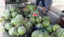 椒江吃瓜最新事件爆料,揭秘背后惊人真相！