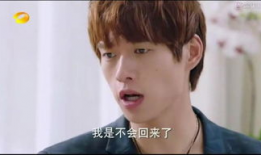 电视剧家产,家族荣耀与命运交织