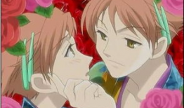 双胞胎动漫,动漫中的孪生情缘